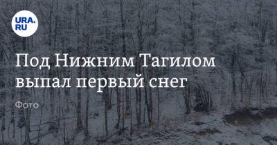 Под Нижним Тагилом выпал первый снег. Фото - ura.news - Свердловская обл.