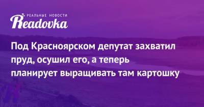 Под Красноярском депутат захватил пруд, осушил его, а теперь планирует выращивать там картошку - readovka.ru - Красноярск