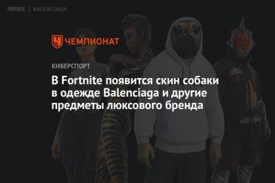 В Fortnite появится скин собаки в одежде Balenciaga и другие предметы люксового бренда - championat.com
