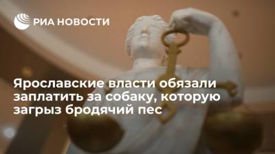 Суд обязал власти заплатить за чихуахуа, погибшую от укусов бродячего пса под Ярославлем - ria.ru - Ярославская обл. - Ярославль