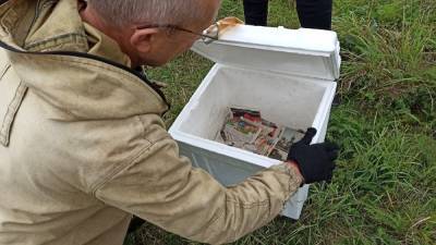 Редкую птицу обнаружили нижегородцы на улице Большой Покровской - vgoroden.ru - Нижний Новгород - Нижний Новгород