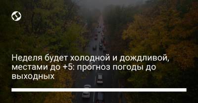 Неделя будет холодной и дождливой, местами до +5: прогноз погоды до выходных - liga.net - Украина - Крым - Запорожская обл. - Сумская обл. - Харьковская обл. - Черниговская обл. - Житомирская обл. - Закарпатская обл. - Херсонская обл.