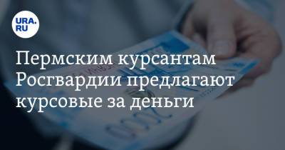 Пермским курсантам Росгвардии предлагают курсовые за деньги - ura.news - Россия - Пермь