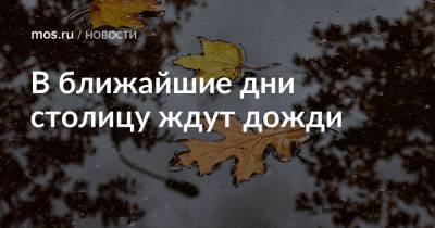 В ближайшие дни столицу ждут дожди - mos.ru - Москва