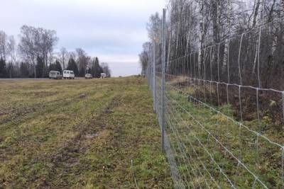 В Ярославской области огородят федеральную трассу от лосей - yar.mk.ru - Ярославская обл.