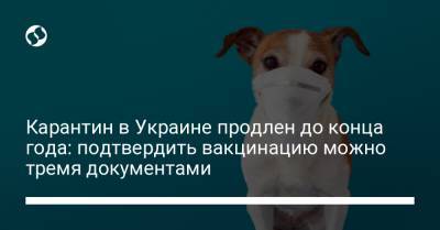 Виктор Ляшко - Карантин в Украине продлен до конца года: подтвердить вакцинацию можно тремя документами - liga.net - Украина