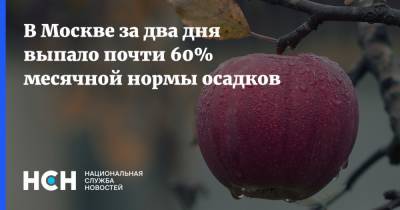 В Москве за два дня выпало почти 60% месячной нормы осадков - nsn.fm - Москва - Россия