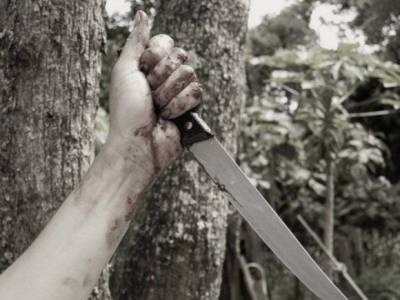 В Северодвинске на улице зарезали подростка из благополучной семьи - rosbalt.ru - Северодвинск