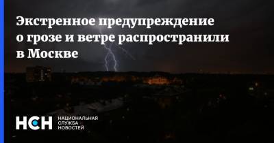 Экстренное предупреждение о грозе и ветре распространили в Москве - nsn.fm - Москва