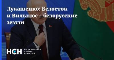 Александр Лукашенко - Лукашенко: Белосток и Вильнюс - белорусские земли - nsn.fm - Белоруссия - Польша - Литва - Вильнюс - Минск