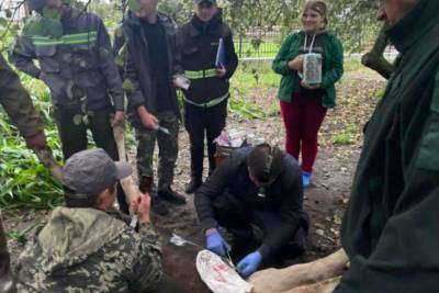 Спецоперация: на Волыни спасли лосенка, который травмировался об острый забор - rupor.info - Волынская обл.