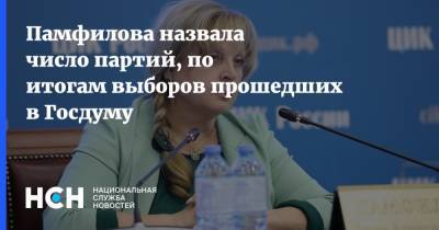 Элла Памфилова - Памфилова назвала число партий, по итогам выборов прошедших в Госдуму - nsn.fm - Россия