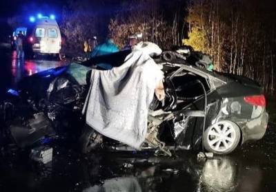 На Ямале в аварии погибли водитель и пассажир иномарки - znak.com - Сургут - Салехард - окр. Янао