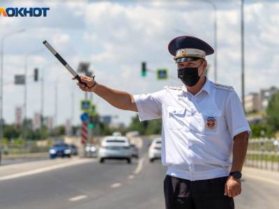 ГИБДД начала штрафовать водителей за шторки и каркасные сетки - bloknot.ru - Таможенный Союз