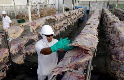 Фьючерсы на скот резко упали из-за пожара на крупном заводе - agroportal.ua - США - Украина - штат Небраска