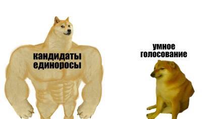 «Голосовать за КПРФ безнравственно!» За что оппозиция критикует умное голосование - newizv.ru - Россия - респ. Чечня