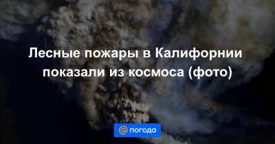 Олег Новицкий - Лесные пожары в Калифорнии показали из космоса (фото) - news.mail.ru - Россия - шт. Калифорния