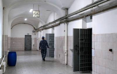 Подозреваемый в убийстве девочки под Орлом обвиняется в насилии над тремя детьми - tass.ru - Россия - Орловская обл.