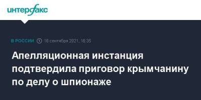 Апелляционная инстанция подтвердила приговор крымчанину по делу о шпионаже - smartmoney.one - Москва - Украина - Крым - Сочи - Симферополь