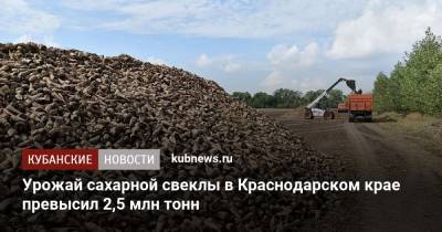 Урожай сахарной свеклы в Краснодарском крае превысил 2,5 млн тонн - kubnews.ru - Краснодарский край - Павловск