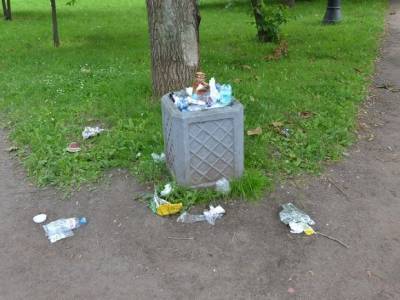 Во время выборов с петербургских улиц собрали больше 600 кубометров мусора - rosbalt.ru - Санкт-Петербург