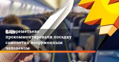 В Шереметьево прокомментировали посадку самолета с вооруженным человеком - ridus.ru - Москва - Россия - Петропавловск