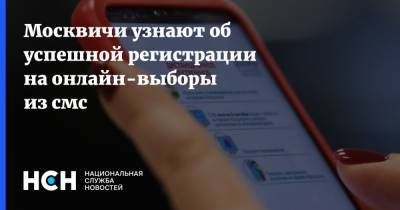 Москвичи узнают об успешной регистрации на онлайн-выборы из смс - nsn.fm - Москва - Россия - район Щукино