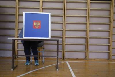 Петербургский Горизбирком не считает целесообразным отменять результаты голосования в округах - neva.today - Санкт-Петербург