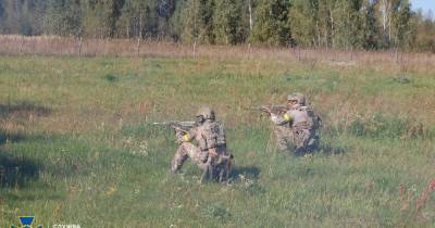 Вблизи границы с Россией: СБУ провела масштабные учения - dsnews.ua - Россия - Украина
