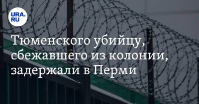 Александр Новиков - Тюменского убийцу, сбежавшего из колонии, задержали в Перми - ura.news - Тюмень - Тюменская обл. - Пермь