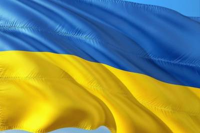 Руслан Бортник - Украине предрекли новый переворот из-за роста антиправительственных настроений - mk.ru - Украина