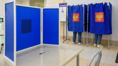 У избирательного участка на Литейном задержали женщину с фальшивыми бюллетенями - dp.ru - Санкт-Петербург