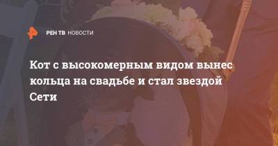 Кот с высокомерным видом вынес кольца на свадьбе и стал звездой Сети - ren.tv - США - шт.Нью-Джерси