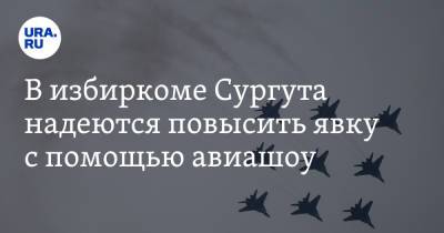 В избиркоме Сургута надеются повысить явку с помощью авиашоу - ura.news - Сургут