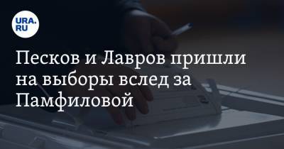 Дмитрий Песков - Сергей Лавров - Вячеслав Володин - Виталий Савельев - Олег Матыцин - Песков и Лавров пришли на выборы вслед за Памфиловой - ura.news - Москва - Россия - район Пресненский, Москва