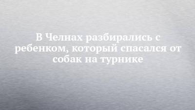 В Челнах разбирались с ребенком, который спасался от собак на турнике - chelny-izvest.ru - респ. Татарстан - Набережные Челны