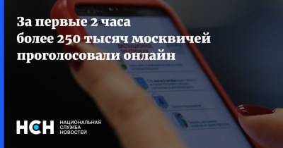 За первые 2 часа более 250 тысяч москвичей проголосовали онлайн - nsn.fm - Москва