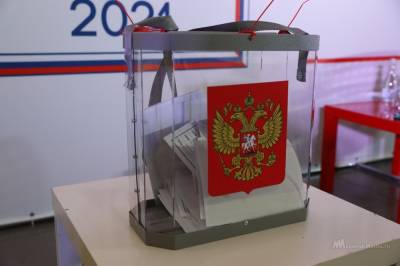 Как найти свой участок для голосования - lipetskmedia.ru - Липецкая обл. - район Краснинский
