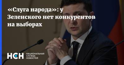 Владимир Зеленский - Александр Корниенко - «Слуга народа»: у Зеленского нет конкурентов на выборах - nsn.fm - Украина