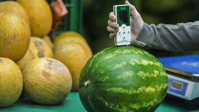 Российские ученые создают прибор для поиска химикатов в овощах и фруктах - iz.ru - Израиль