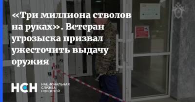 «Три миллиона стволов в стране». Ветеран угрозыска призвал ужесточить выдачу оружия - nsn.fm - Россия