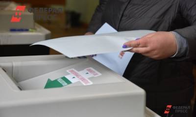 Марат Баширов - Политтехнолог о выборах в Госдуму: «Не вижу оснований для протестов» - fedpress.ru - Россия