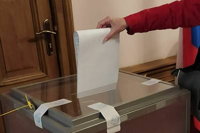 Ирина Яровая - «Единая Россия» победила на выборах в Госдуму на Камчатке - lenta.ru - Россия
