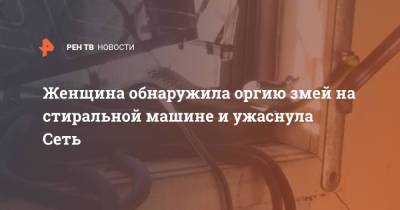 Женщина нашла оргию змей на стиральной машине и ужаснула Сеть - ren.tv