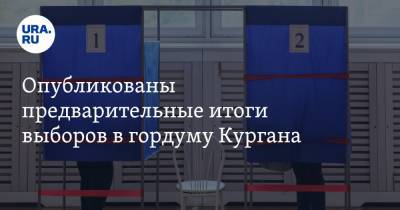 Опубликованы предварительные итоги выборов в гордуму Кургана. Скрин - ura.news - Россия - Курган