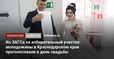 Из ЗАГСа на избирательный участок: молодожены в Краснодарском крае проголосовали в день свадьбы - kubnews.ru - Краснодарский край