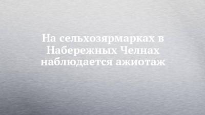 На сельхозярмарках в Набережных Челнах наблюдается ажиотаж - chelny-izvest.ru - Россия - Набережные Челны