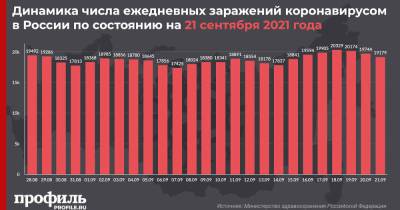 За сутки в России выявили 19179 новых случаев заражения COVID-19 - profile.ru - Москва - Россия - Санкт-Петербург - Московская обл.