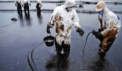 В Омской области возбудили дело о разливе нефти - newizv.ru - Омская обл. - Новороссийск