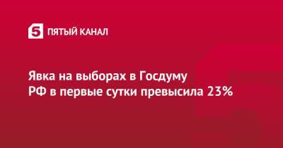 Явка на выборах в Госдуму РФ в первые сутки превысила 23% - 5-tv.ru - Москва - Россия